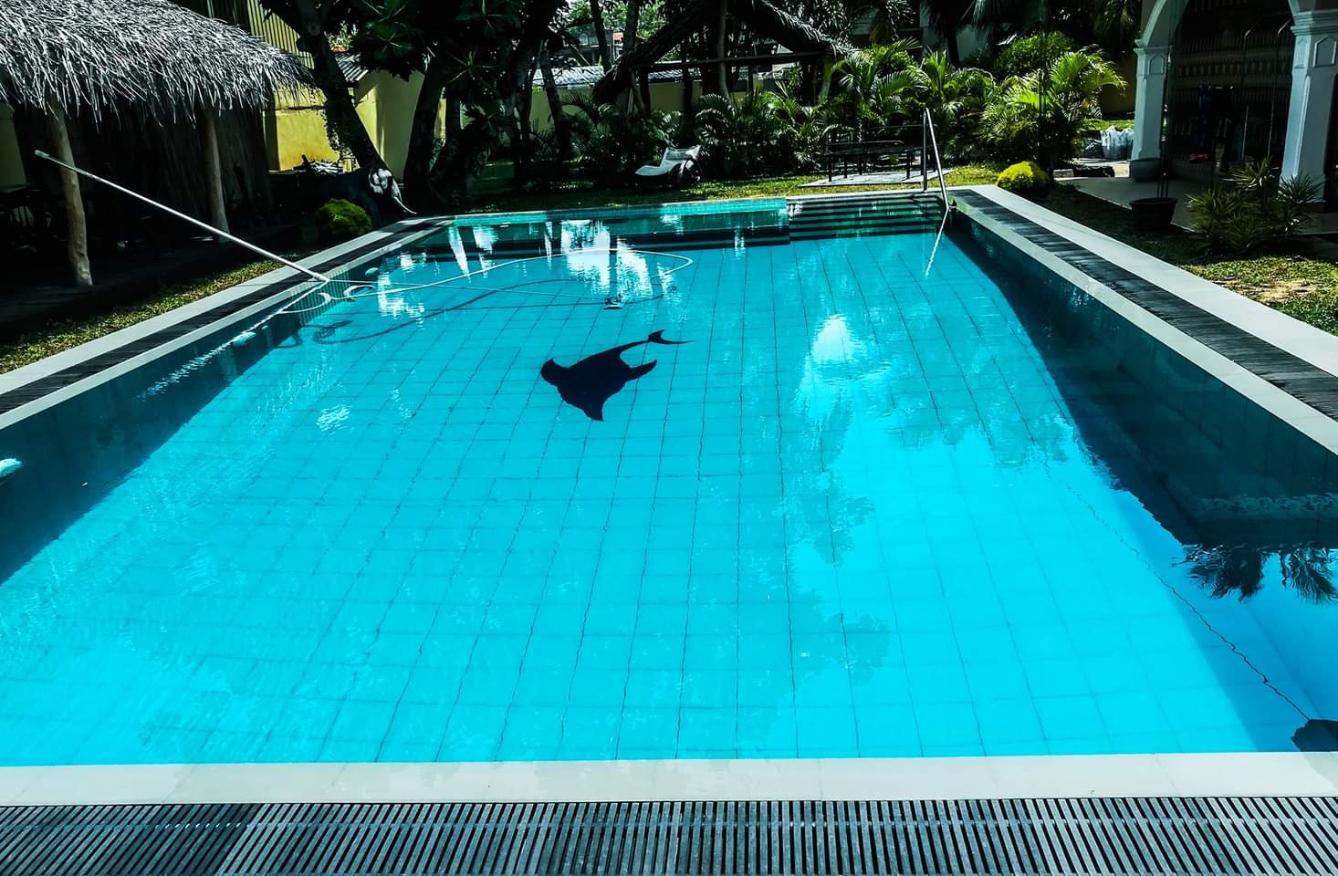 Waterqo Swimming Pool Project 21