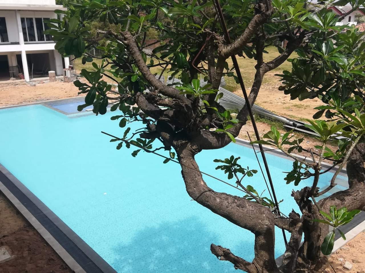 Negombo Golden Star Project